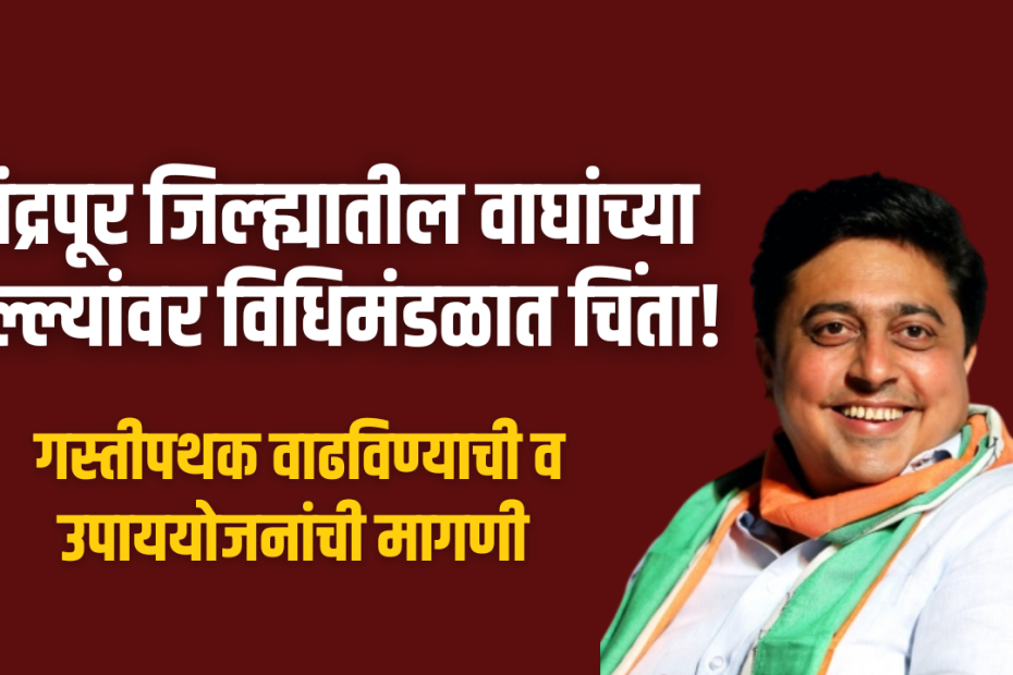 चंद्रपूर जिल्ह्यातील वाघांच्या हल्ल्यांवर विधिमंडळात चिंता!